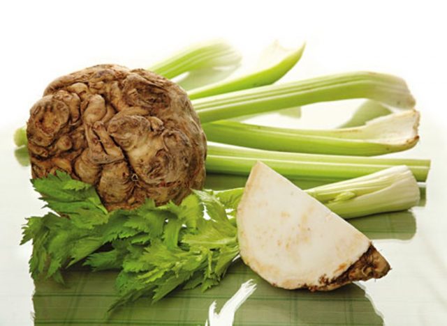 Growing celery root