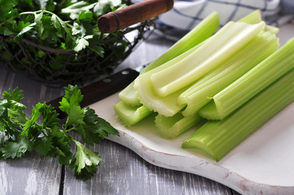 Growing celery seedlings