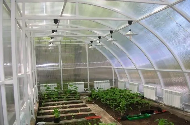 Growing cucumbers in a heated greenhouse in winter