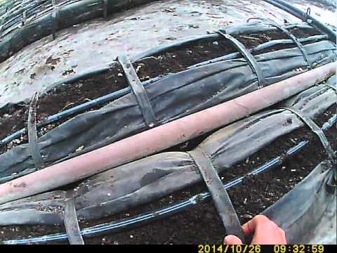 Growing cucumbers in a heated greenhouse in winter