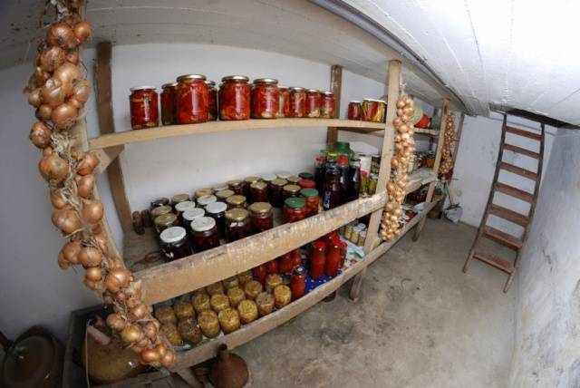 Growing mushrooms in the basement 