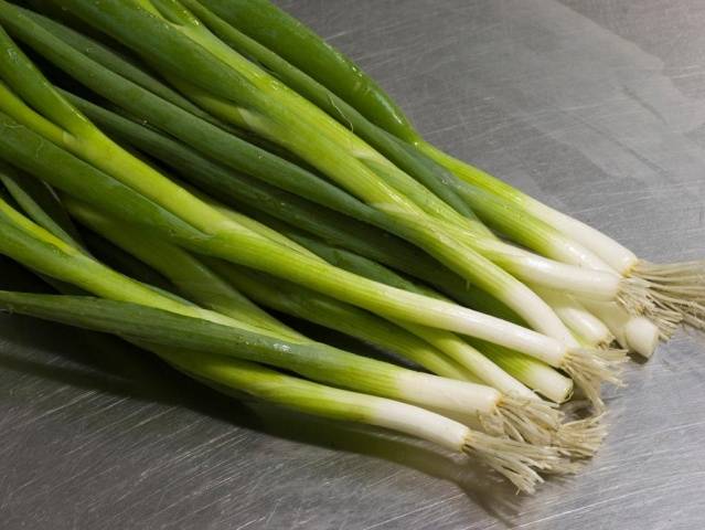 Growing onions on a feather at home