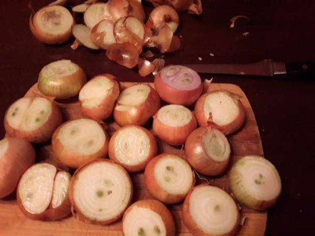 Growing onions on a feather at home