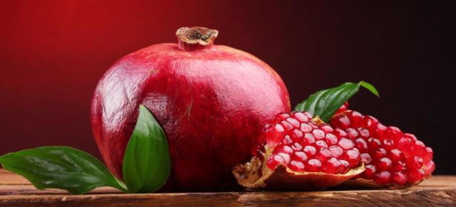 Growing pomegranate at home in a pot