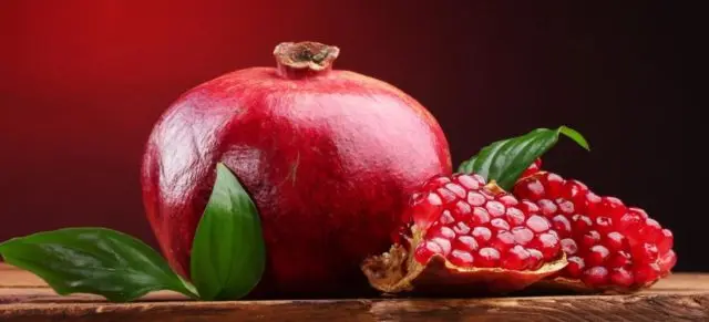 Growing pomegranate at home in a pot