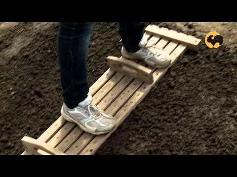 Growing radishes in a greenhouse: early spring or late autumn