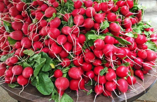 Growing radishes in trays (cassettes) from under eggs