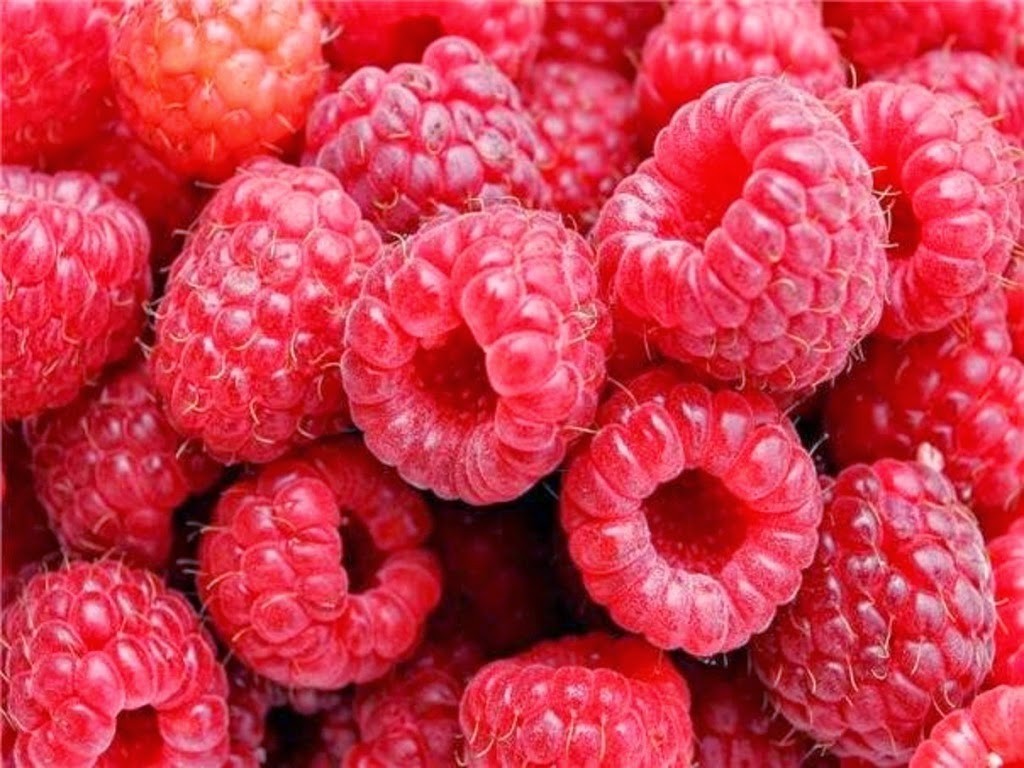 Growing raspberries: all the details of the process 