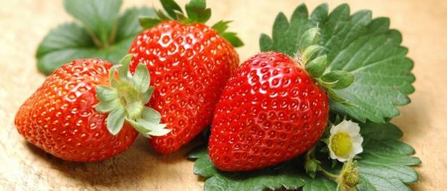 Growing strawberries from seed at home 