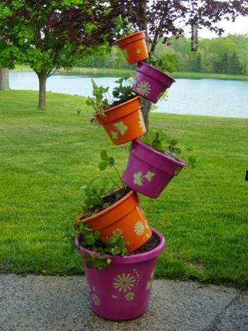 Growing strawberries in a pot