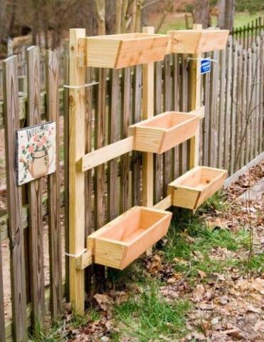 Growing strawberries in boxes above ground