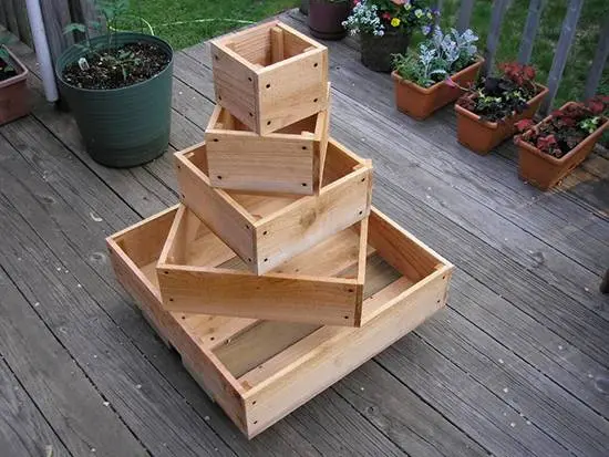 Growing strawberries in boxes above ground