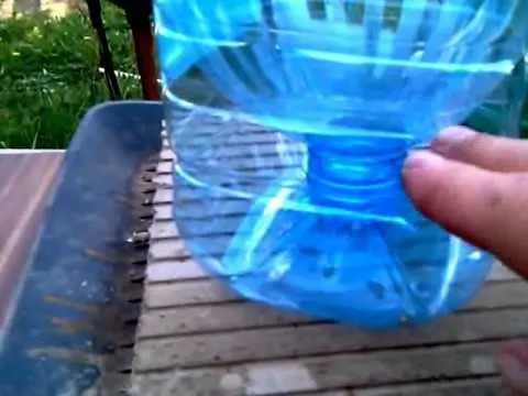 Growing strawberries in plastic bottles