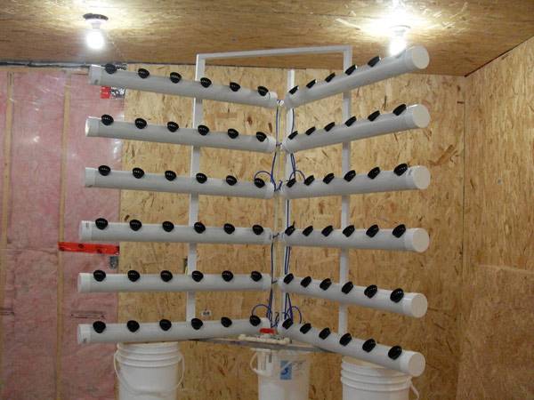 Growing strawberries in PVC pipes horizontally