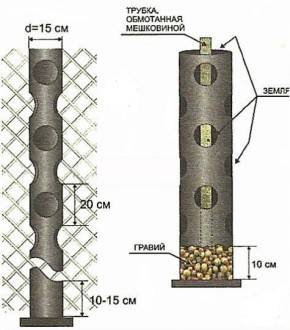 Growing strawberries in PVC pipes vertically