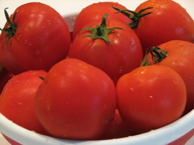 Growing tomatoes in Siberia