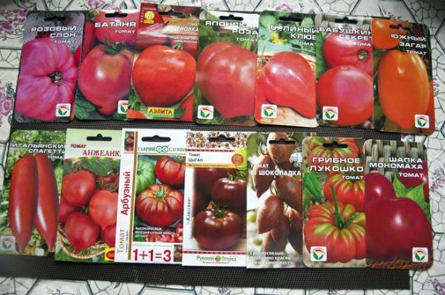 Growing tomatoes outdoors