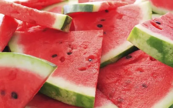 Growing watermelon in hydroponics: the main features of the method