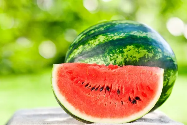 Growing watermelons in Belarus: features of planting and care