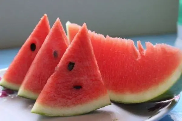 Growing watermelons in Belarus: features of planting and care