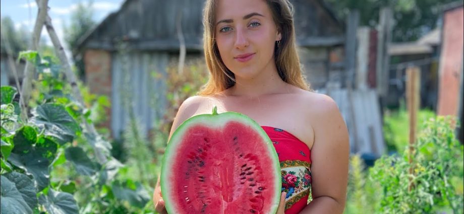 Growing watermelons in Belarus: features of planting and care