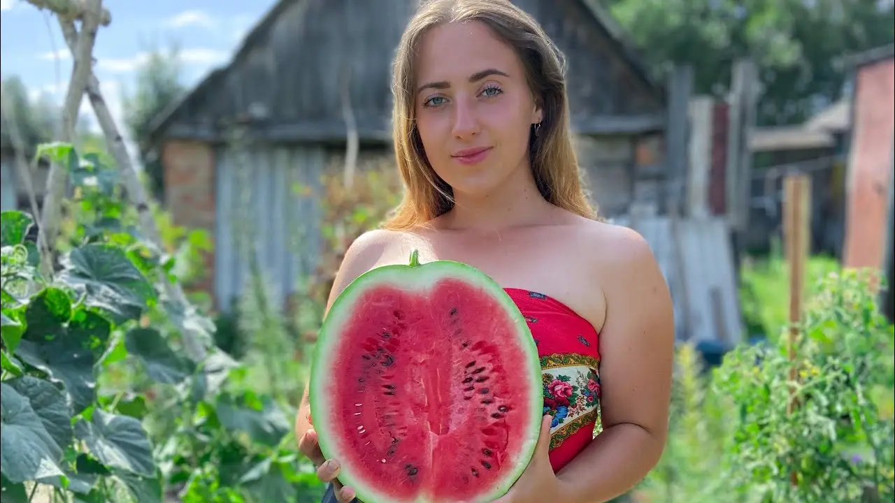 Growing watermelons in Belarus: features of planting and care