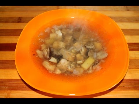 Gruzdyanka: recipes from fresh mushrooms with carrots, meat, in a slow cooker