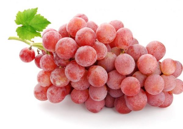 Gurzuf pink grapes &#8211; variety description with photo