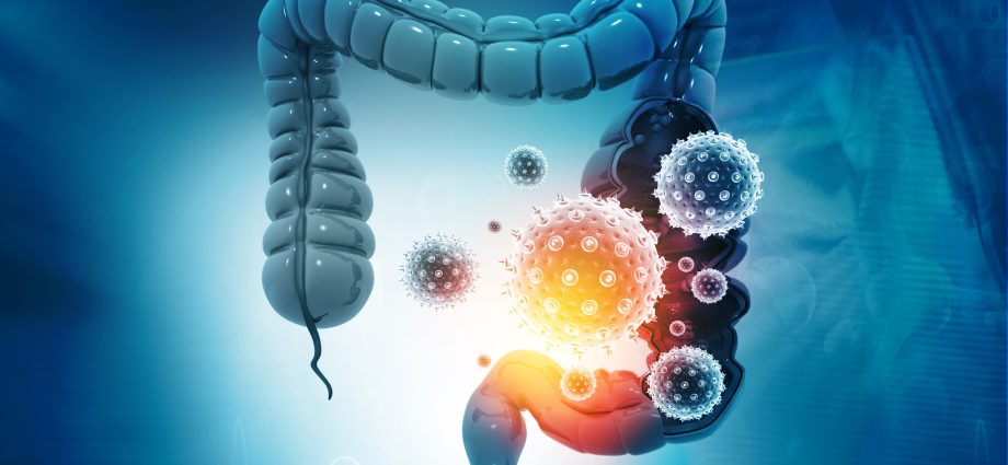 Gut microbiota transplant to fight COVID-19? Research by scientists from the Medical University of Warsaw