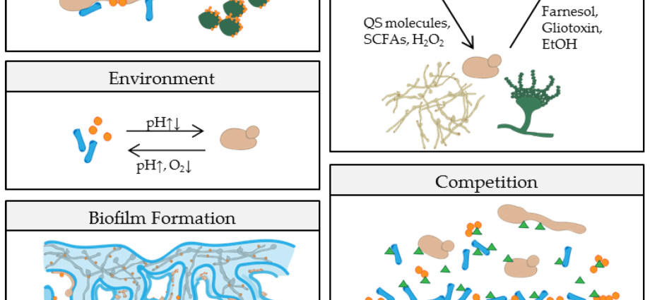 Habitats of fungi, bacteria and parasites. After entering the hotel room, check out these sensitive places