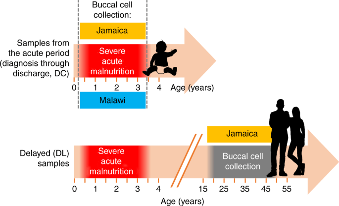 Half of malnourished children will be sterile in their adult life