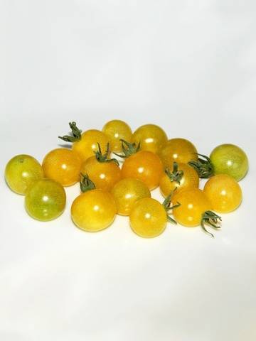 Hand tomatoes: the best varieties + photo