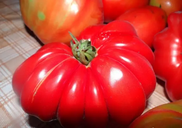 Harmonica tomato variety: reviews + photos