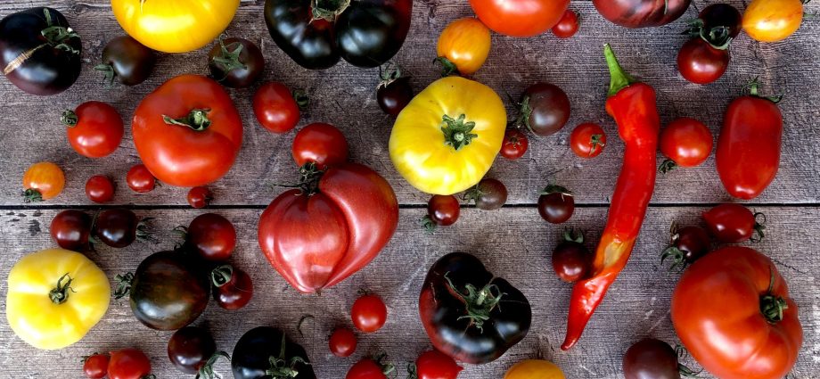 Harmonica tomato variety: reviews + photos