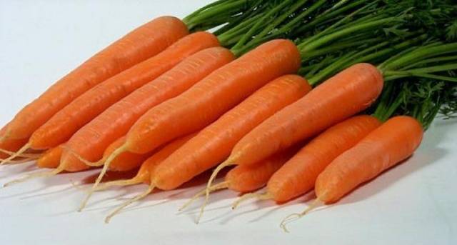 Harvest varieties of carrots