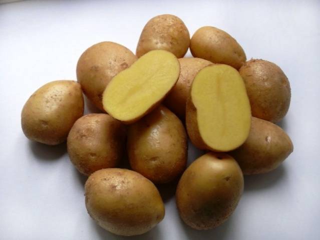 Harvest varieties of potatoes for Siberia 