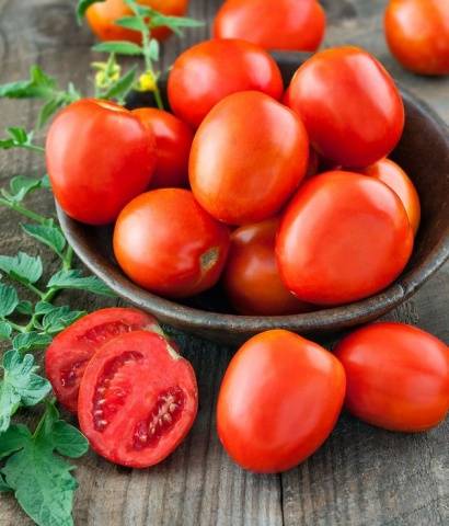 Harvest varieties of tomatoes for open ground