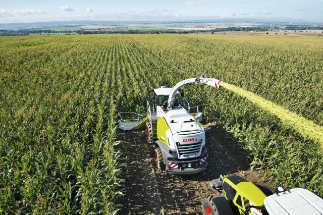 Harvesting and technology of growing corn for silage