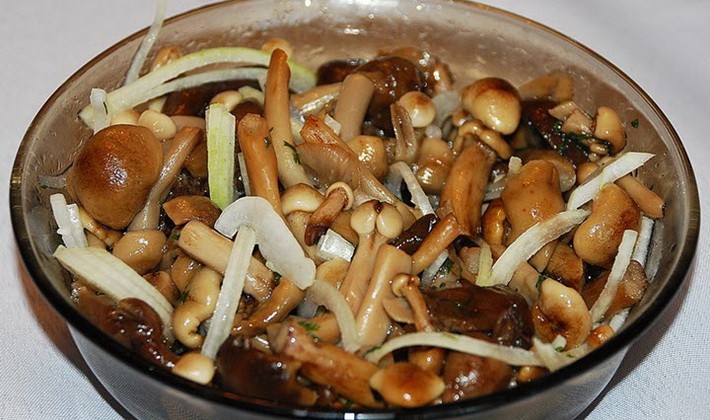 Harvesting autumn mushrooms for the winter: homemade recipes