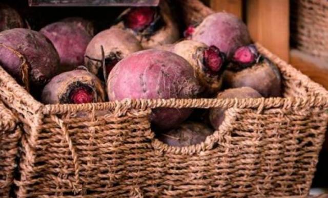 Harvesting carrots and beets 