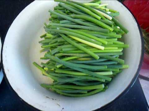 Harvesting green garlic for the winter: recipes 