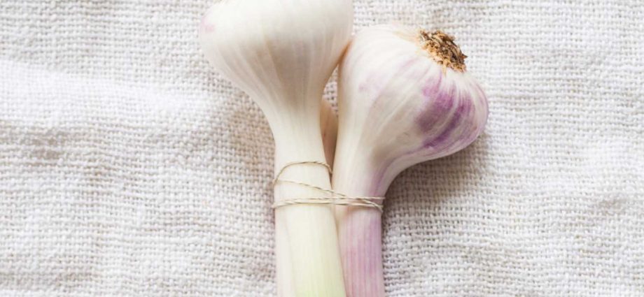 Harvesting green garlic for the winter: recipes 