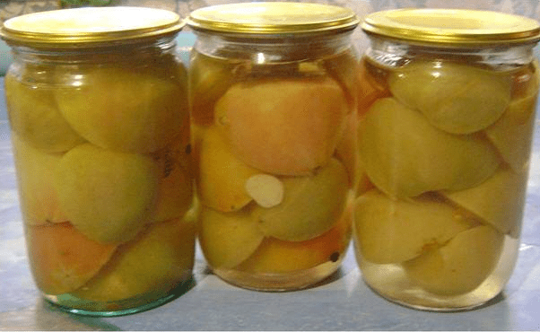 Harvesting green tomatoes for the winter in jars 