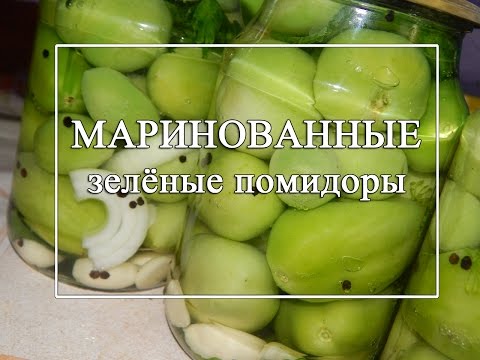 Harvesting green tomatoes for the winter in jars 