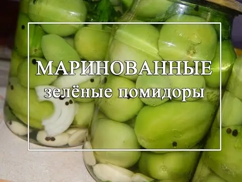 Harvesting green tomatoes for the winter in jars 