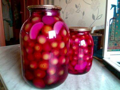 Harvesting green tomatoes for the winter in jars 