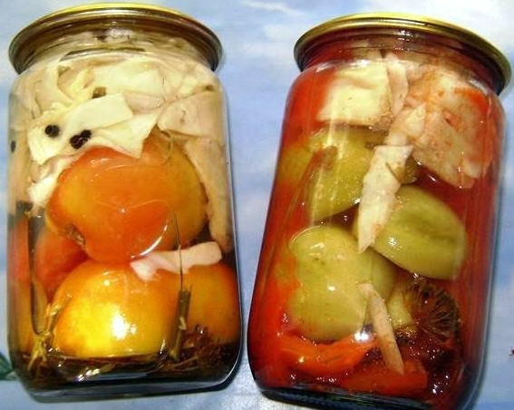 Harvesting green tomatoes for the winter in jars 