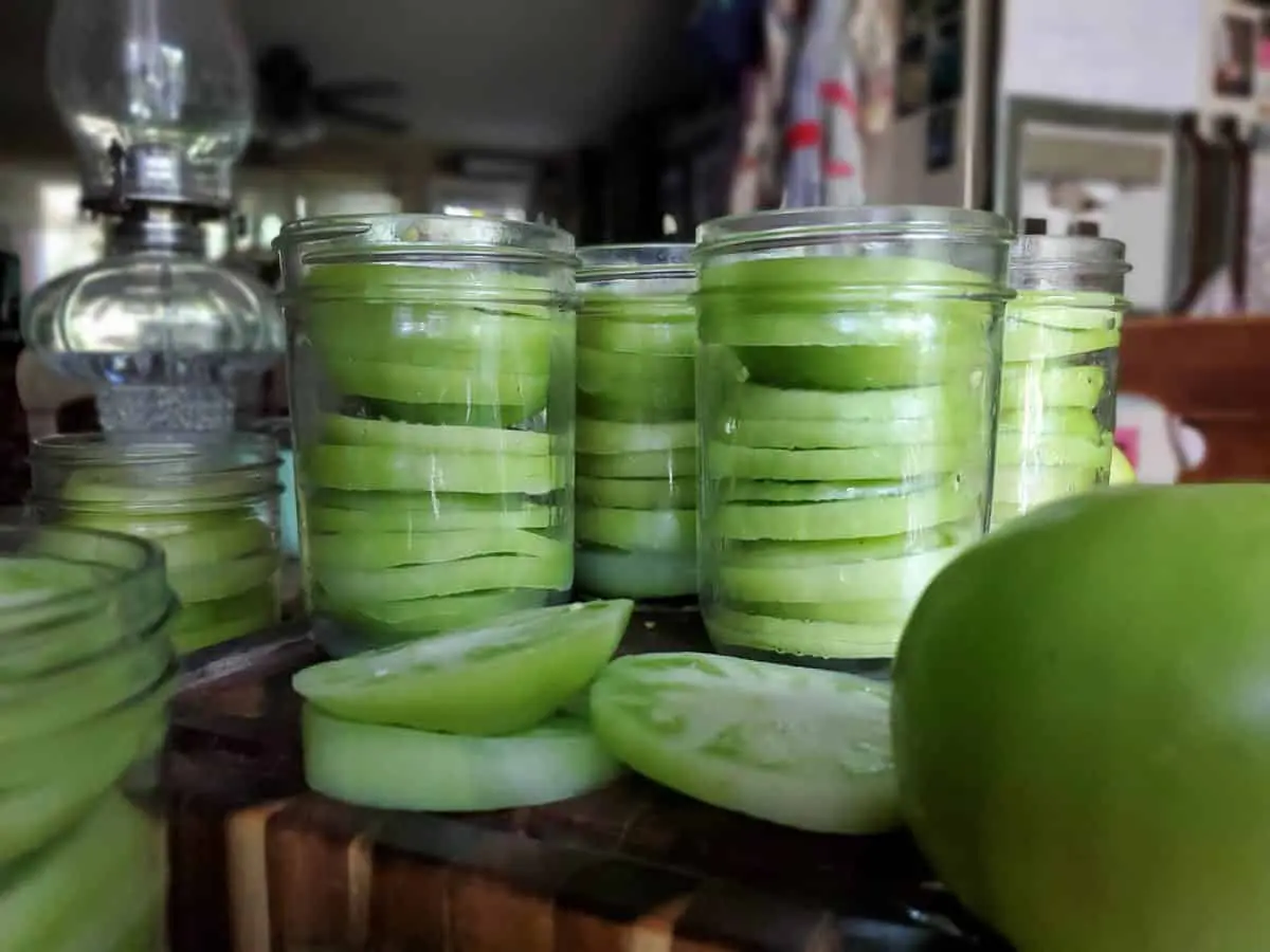 Harvesting green tomatoes for the winter in jars 