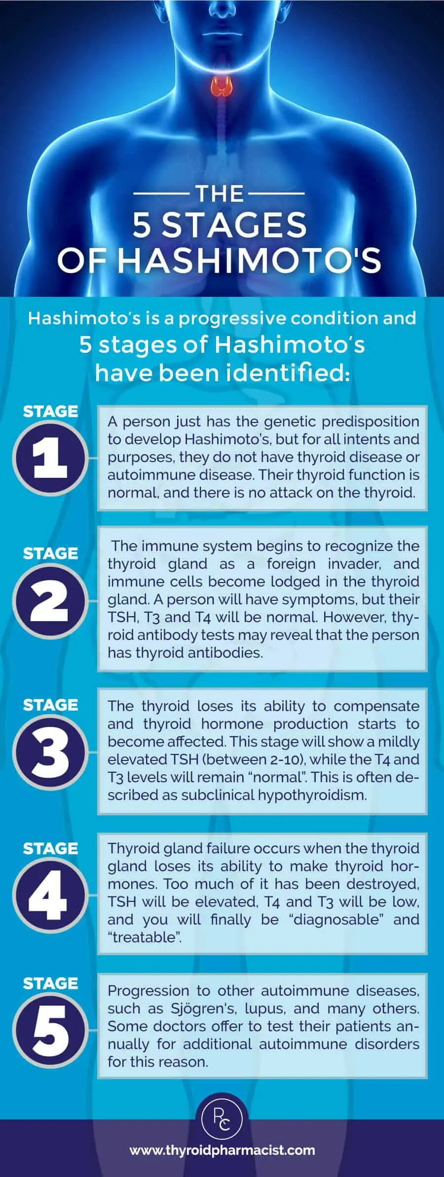 Hashimoto&#8217;s &#8211; facts and myths about the disease. How to live with Hashimoto&#8217;s disease? WE EXPLAIN