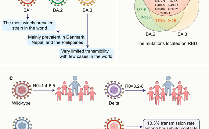 Have you recently had COVID-19? Important information about the Omicron